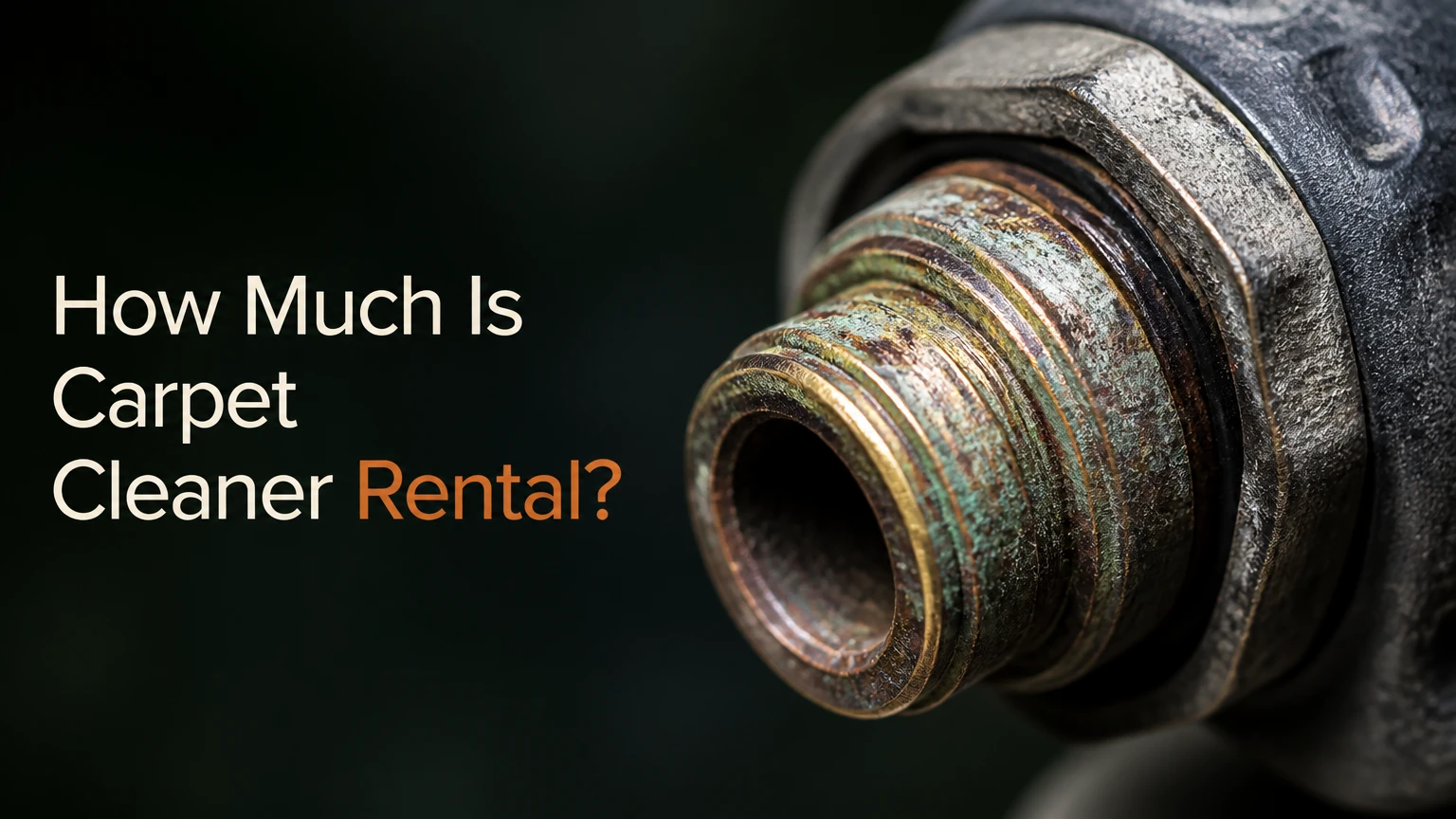How Much Is Carpet Cleaner Rental?