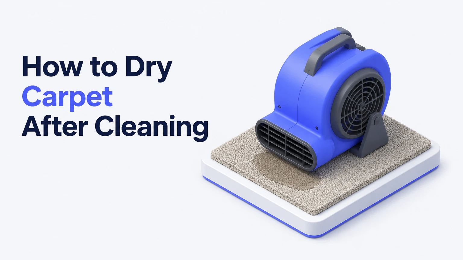 How to Dry Carpet After Cleaning
