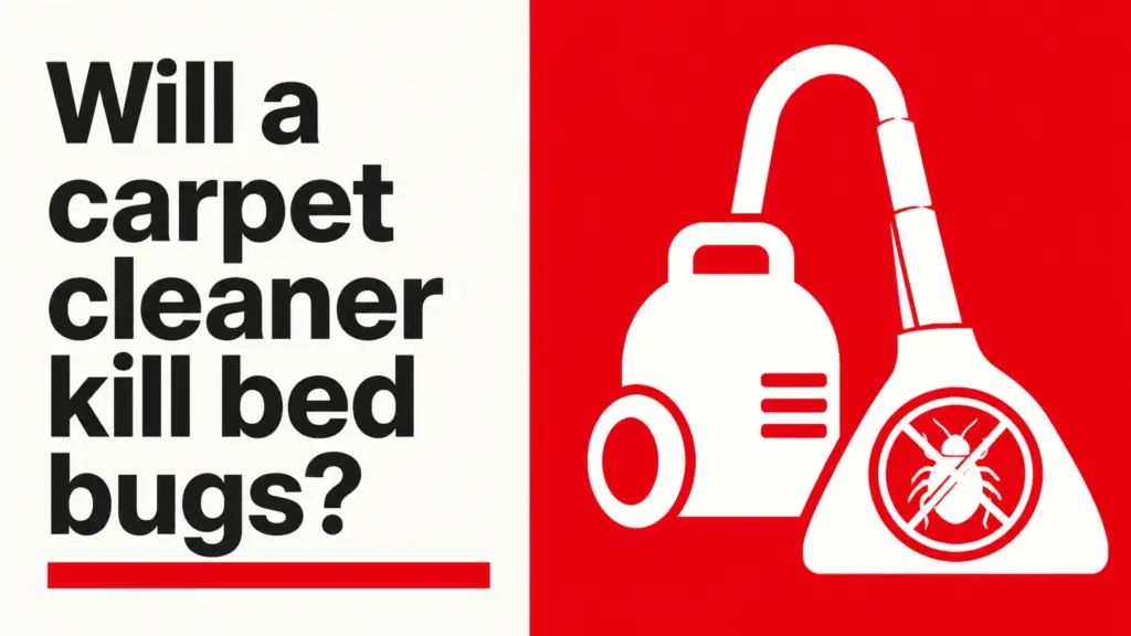 Will a carpet cleaner kill bed bugs?