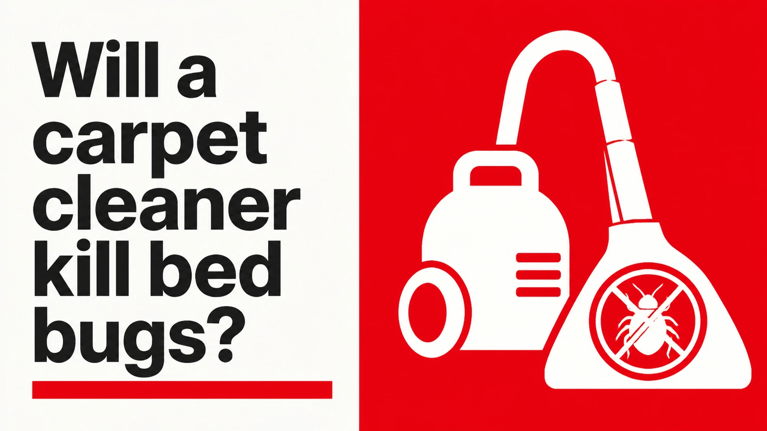 Will a carpet cleaner kill bed bugs?