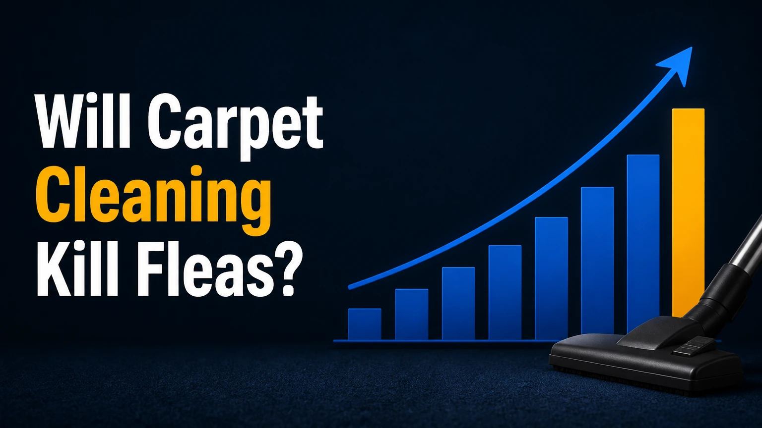 Will Carpet Cleaning Kill Fleas?